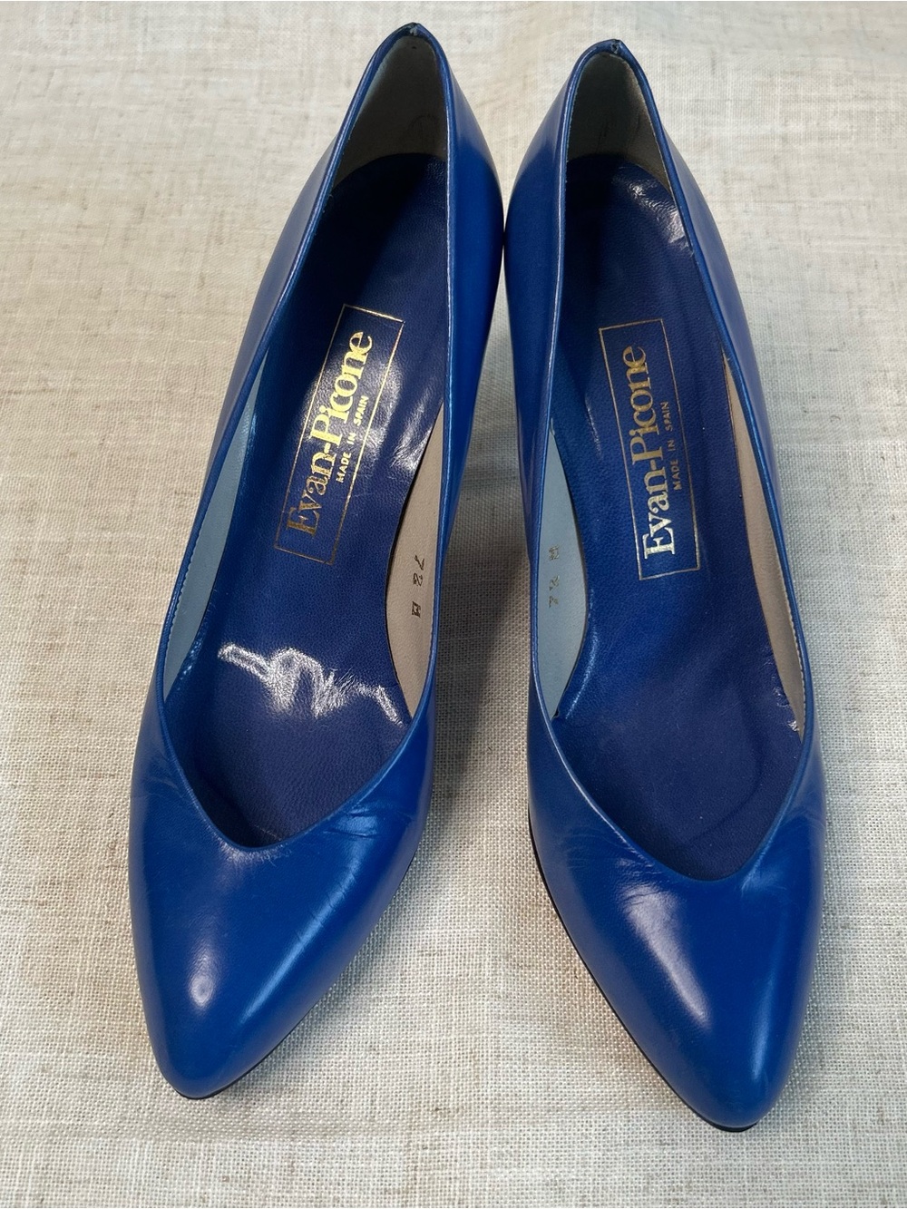 Evan Picone Sapphire Blue Leather Pointed-Toe Pumps